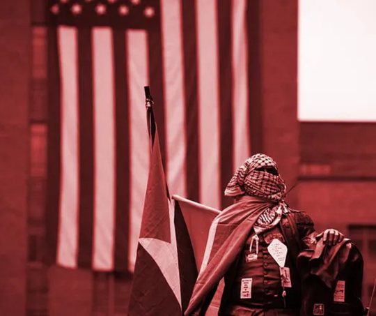 Man with flag and mask in front of flag in a room