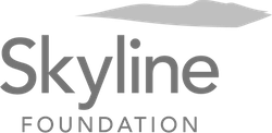 Skyline foundation logo